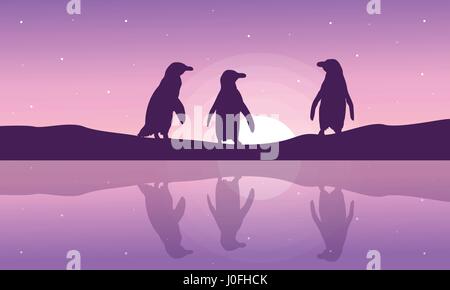 Penguin with reflection at night silhouette Stock Vector