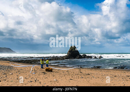 Old rusty leaking oil drum cordoned off by the coast guard after washing up in Bude on the British coastline during a storm the night before Stock Photo