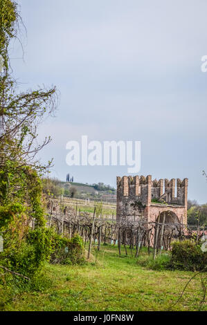 Vineyard and Tower of the Ancient Italian Walled City of Soave. The old town is surrounded by medieval walls and is located on the hills near Verona, Stock Photo