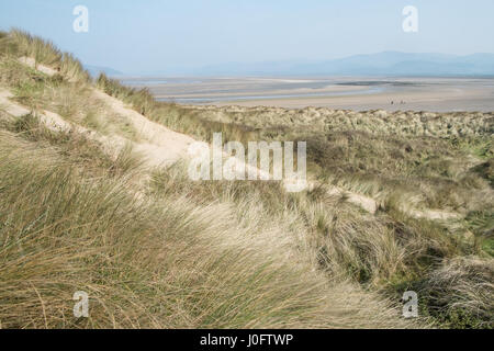 Sand, dunes,sand dunes, at, Ynyslas,Ynslas,ynyslas sand dunes,beach,empty,popular,coast,coastline,for,wading,birds,and,hikers,Ceredigion,Mid,Wales,U.K. Stock Photo