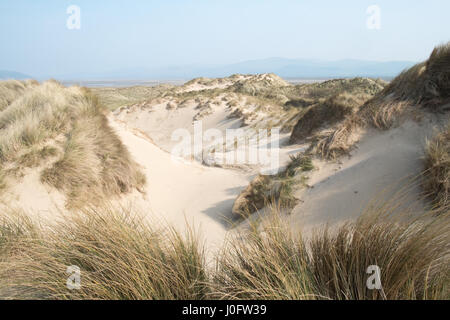 Sand, dunes,sand dunes, at, Ynyslas,Ynslas,ynyslas sand dunes,beach,empty,popular,coast,coastline,for,wading,birds,and,hikers,Ceredigion,Mid,Wales,U.K. Stock Photo