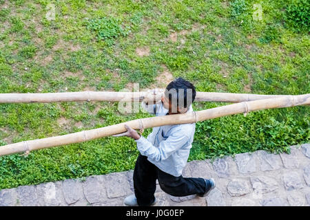 Indian workman carrying large bamboo poles, scaffolding at a construction site, Pragpur, a heritage village, Kagra district, Himachal Pradesh, India Stock Photo