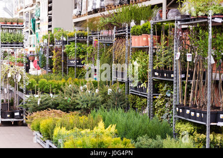 variety of trees and plants in nursery store Stock Photo