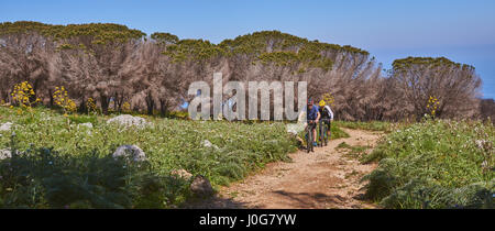 Palermo, Monte Pellegrino, Sicily, Italy, April 8 / 2017. Two mountain bikers riding bike in the forest on dirt road. Stock Photo