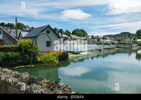 Hanging flower basket at Union Hall, Glandore Harbour, County Cork, Ireland Stock Photo