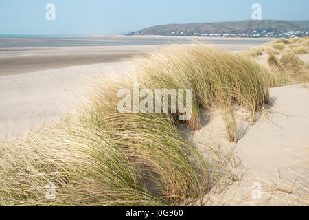 Sand, dunes,sand dunes, at, Ynyslas,Ynslas,ynyslas sand dunes,beach,empty,popular,coast,coastline,for,wading,birds,and,hikers,Ceredigion,Mid,Wales,U.K. Stock Photo