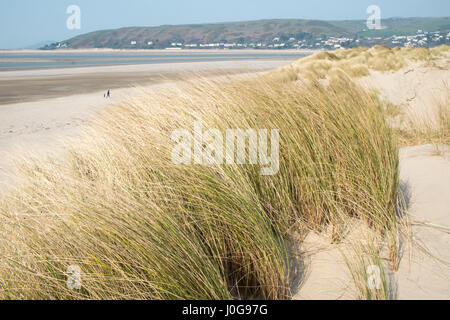 Sand, dunes,sand dunes, at, Ynyslas,Ynslas,ynyslas sand dunes,beach,empty,popular,coast,coastline,for,wading,birds,and,hikers,Ceredigion,Mid,Wales,U.K. Stock Photo