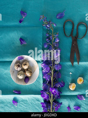 still life on teal blue fabric with quail eggs Stock Photo