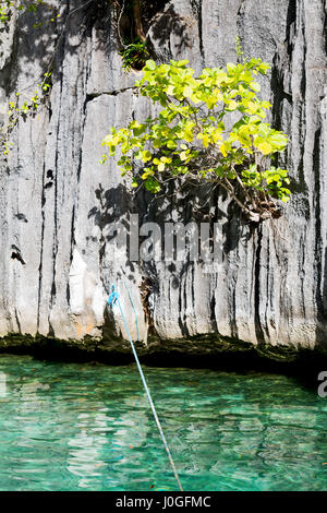 blur in philippines view from a boat of  palm cliff beach and rock from pacific ocean Stock Photo