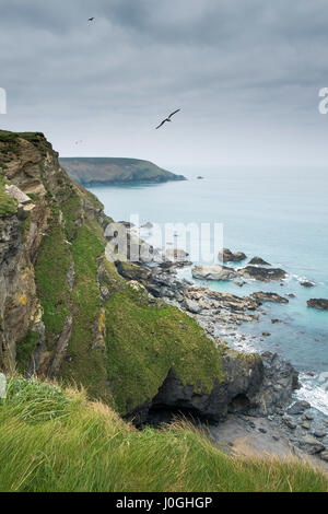 Hells Mouth Cornwall Cliffs Sea Coast Coastal scene Coastline Rugged Rocks Rocky Navax Point Dangerous Stock Photo