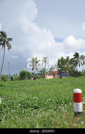 Kerala, Farm Land Purification, Kuttanad, Historical Homes= (Photo Copyright © by Saji Maramon) Stock Photo