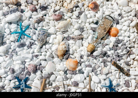 Close-up texture covered with colorful seashells and starfishes on white small pebbles background Stock Photo