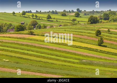 Patterned landscape organic farm near Roztocze National Park, Poland. Stock Photo