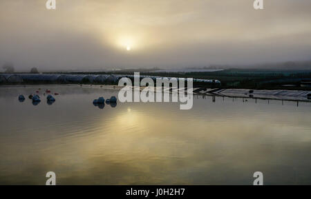 Tuesley Farm, Godalming. 13th April 2017. High pressure anticyclonic conditions brought misty weather to the Home Counties this morning. Sunrise over Tuesley Farm in Godalming, Surrey. Credit: james jagger/Alamy Live News Stock Photo