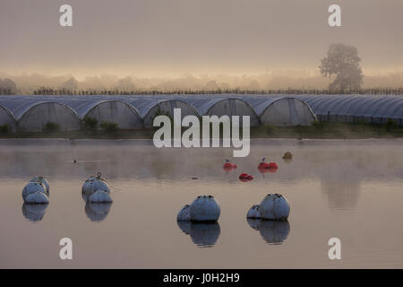 Tuesley Farm, Godalming. 13th April 2017. High pressure anticyclonic conditions brought misty weather to the Home Counties this morning. Sunrise over Tuesley Farm in Godalming, Surrey. Credit: james jagger/Alamy Live News Stock Photo