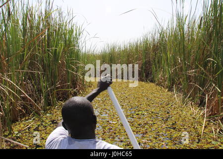 Nyal, South Sudan. 26th Mar, 2017. A canoe makes its way through the swamps of the White Nile river near Nyal, South Sudan, 26 March 2017. Photo: Jürgen Bätz/dpa/Alamy Live News Stock Photo