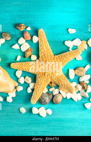 Starfish, shells, and pebbles on vibrant turquoise background Stock Photo