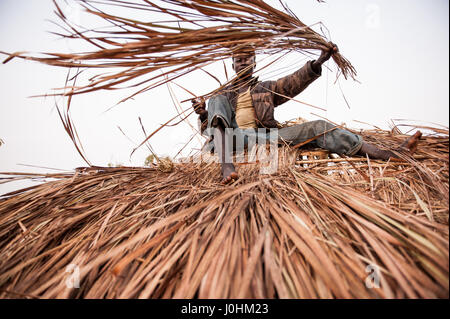 Thatching a traditional mud and straw dwelling in Dungu, Haut-Uele Province, Democratic Republic of Congo (DRC) Stock Photo