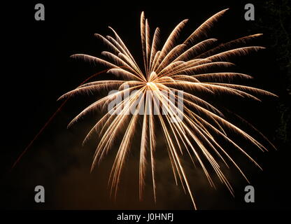 Long exposure photograph of a golden firework burst, against a black night sky background. Light painting photography of a fire work on bonfire night. Stock Photo