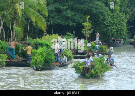 Nursery farmers selling plants at the Mahmudkati floating market Mahmudkati in Nesarabad (Swarupkati) upazila of Pirojpur district of Bangladesh. Stock Photo