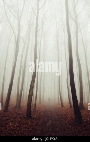 misty forest road with man silhouette in the distance Stock Photo