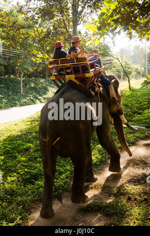 Mother and daughter riding on elephant Nilaveli Beach. Sri Lanka. This ...