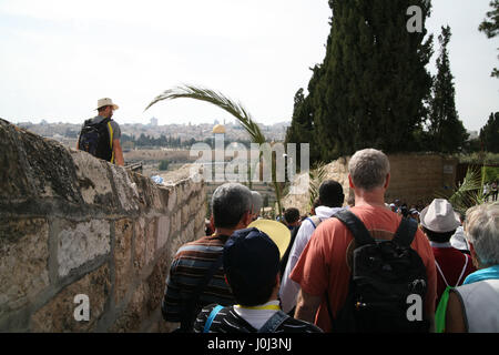Christian pilgrims walk in a Palm Sunday Procession on Mount Olives carrying Palm Tree branches seeing the Dome of the Rock on the Temple Mount ahead. Stock Photo