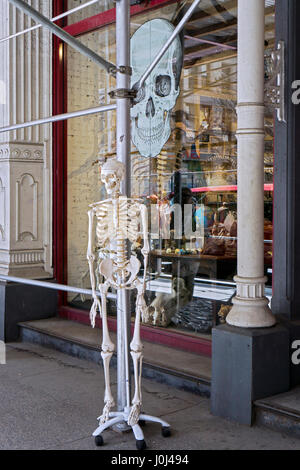 A skeleton outside Evolution, a museum-style shop carrying science & natural history-related collectibles, gifts & furnishings, in Manhattan. Stock Photo