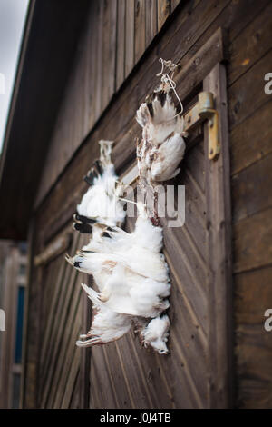 Longyearbyen Svalbard Norway Stock Photo