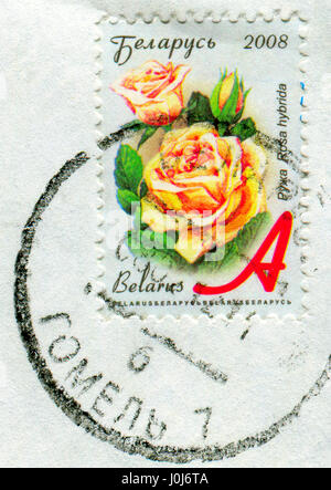 GOMEL, BELARUS, APRIL 10, 2017. Stamp printed in Belarus shows image of  The Lepus europaeus, circa 2008. Stock Photo