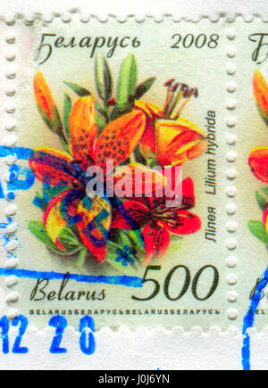 GOMEL, BELARUS, APRIL 11, 2017. Stamp printed in Belarus shows image of  The Lilium hybrida, circa 2008. Stock Photo