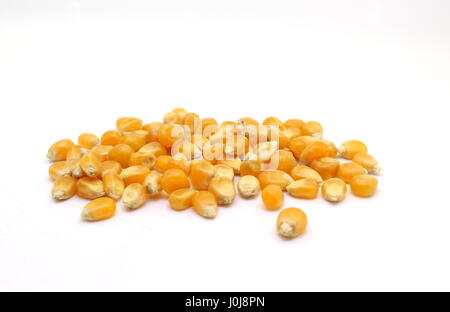 A photograph of a small mound of popcorn kernels, isolated on a white background.  Raw ingredient, food. Stock Photo