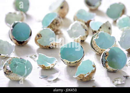 Broken quail egg shells on white surface Stock Photo