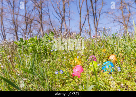Easter egg on grass with beautiful flowers Stock Photo