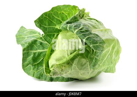 white cabbage from organic farming isolated on white background Stock Photo