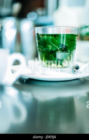 Glass of Peppermint Tea Brewing Stock Photo