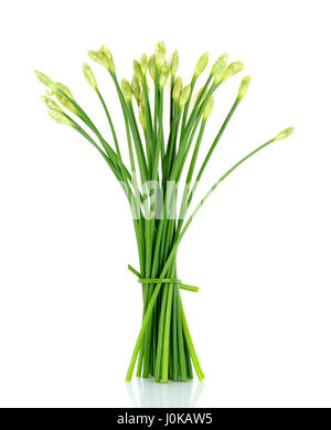 Chives flower or Chinese Chive isolated on white background. Stock Photo
