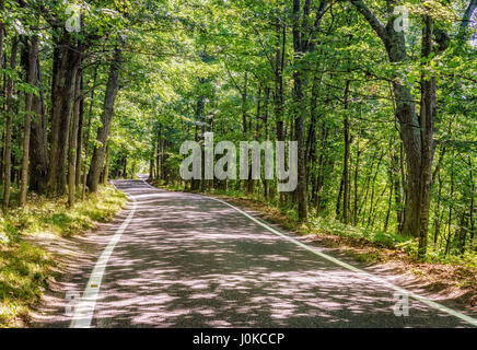 Tunnel of Trees Scenic Heritage Road near Harbor Springs, Michigan Stock Photo