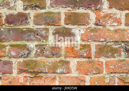 Grungy old red brick wall texture Stock Photo