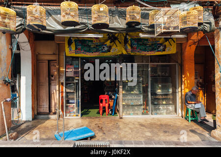 Kuala Lumpur, Malaysia - March 17, 2016:  Birds vendor  sitting before his shop in Chinatown, Kuala Lumpur, Malaysia on March 17, 2016. Stock Photo