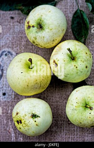 Early apples on grey surface Stock Photo