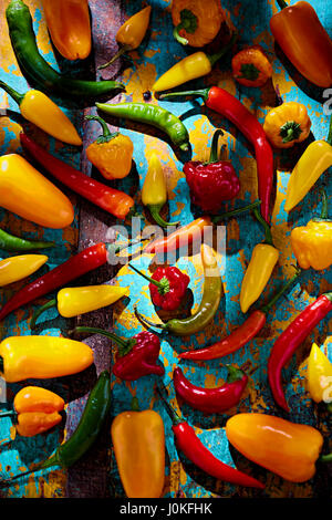 Green, red, yellow and orange peppers on blue background Green, red, yellow and orange peppers on blue background