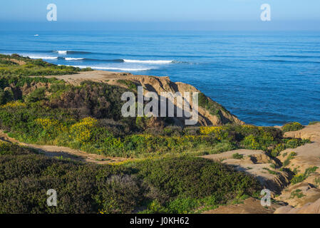 Looking down on the Pacific Ocean and and wildflowers at Sunset Cliffs Natural Park in San Diego, California. Stock Photo