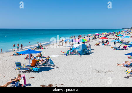 Beach at the Venice Pier on the Gulf of Mexico in Venice Florida Stock Photo