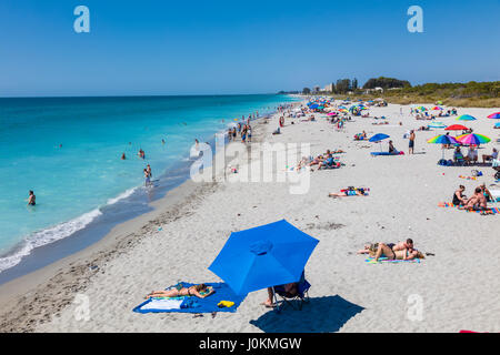 Beach at the Venice Pier on the Gulf of Mexico in Venice Florida Stock Photo