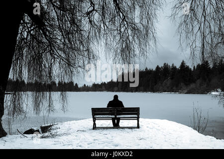 Man in black, sitting alone on a park bench in snow over looking frozen lagoon with large weeping willow trees. Stock Photo