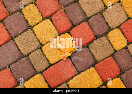 Orange and yellow flagstones, cobbles. Autumn shades Stock Photo