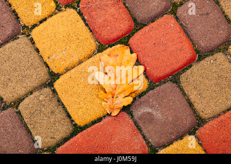 Orange and yellow flagstones, cobbles. Autumn shades Stock Photo