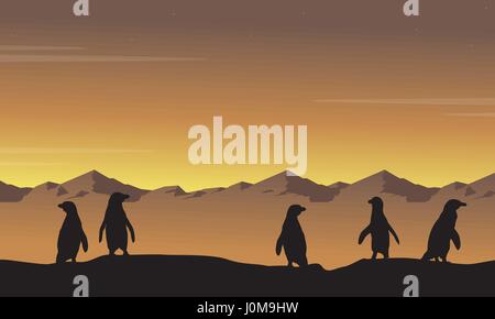 Landscape of penguin at sunset silhouettes Stock Vector