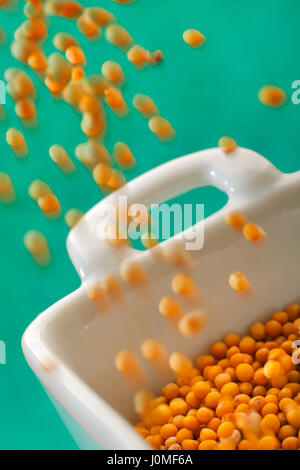 Pouring white mustard seeds into a bowl. Close up view. Stock Photo